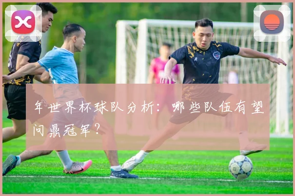 年世界杯球队分析：哪些队伍有望问鼎冠军？